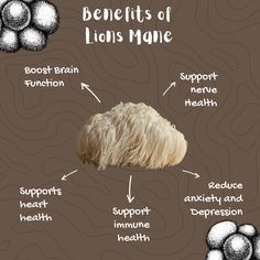 lion's mane spiritual benefits