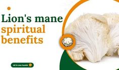 lion's mane spiritual benefits